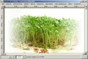 74-gimp_i_webmastering_efekt_znikania_obrazow.jpg 74-gimp_i_webmastering_efekt_znikania_obrazow.jpg