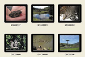 9c-myphoto_3_02_-_prosty_przepis_na_wlasna_galerie.png 9c-myphoto_3_02_-_prosty_przepis_na_wlasna_galerie.png