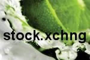a4-stock_xchng.jpg a4-stock_xchng.jpg