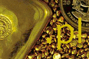 d7-domena_na_wage_zlota.gif