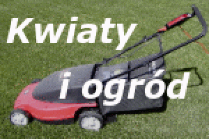 98-najlepsze_polskie_sklepy_internetowe_branza_kwiaty_i_ogrod.gif