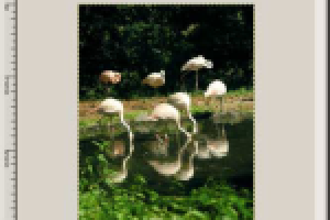 f6-kurs_gimp_od_podstaw_cz_1.png