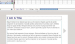 09-strona_we_flashu_z_wykorzystaniem_xml.png