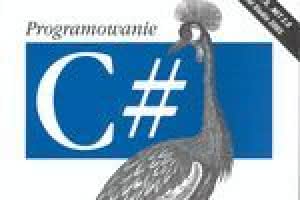 c2-c_programowanie.jpg