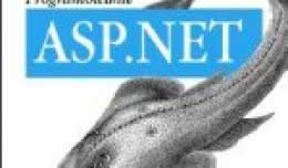 d7-asp_net_programowanie.jpg