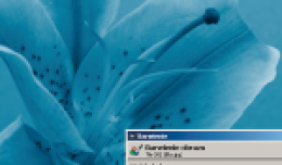 ae-gimp_tworzenie_szablonow_stron_www.png