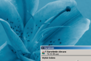 ae-gimp_tworzenie_szablonow_stron_www.png