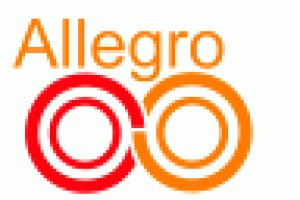 02-spotkanie_grupy_allegro.gif