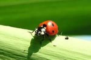 86-gimp_tworzenie_szablonow_stron_www_cz_9.jpg 86-gimp_tworzenie_szablonow_stron_www_cz_9.jpg