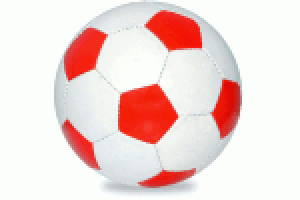 2a-euro2008_pl.gif 2a-euro2008_pl.gif