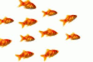 31-rozwiazania_do_wspolpracy_online.gif 31-rozwiazania_do_wspolpracy_online.gif