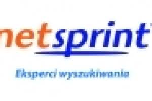 dc-netsprint_na_rynki_zagraniczne.jpg