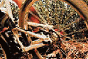 92-najlepsze_polskie_sklepy_internetowe_branza_sklepy_rowerowe.gif
