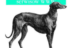 df-wydajne_witryny_internetowe_przyspieszanie_dzialania_serwisow_www.png df-wydajne_witryny_internetowe_przyspieszanie_dzialania_serwisow_www.png