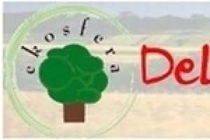 d4-najlepsze_polskie_sklepy_internetowe_branza_sklepy_ze_zdrowa_zywnoscia.jpg d4-najlepsze_polskie_sklepy_internetowe_branza_sklepy_ze_zdrowa_zywnoscia.jpg