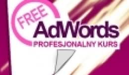 f7-100-stronicowy_profesjonalny_kurs_google_adwords.jpg