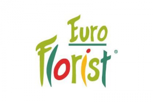 9e-euro_florist_i_best_net.png 9e-euro_florist_i_best_net.png