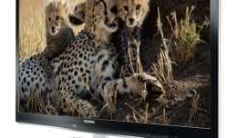 UL863_875_Safari