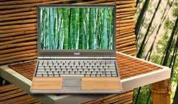 asus-bamboo