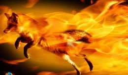 Firefox !!!