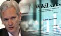 wikileaks