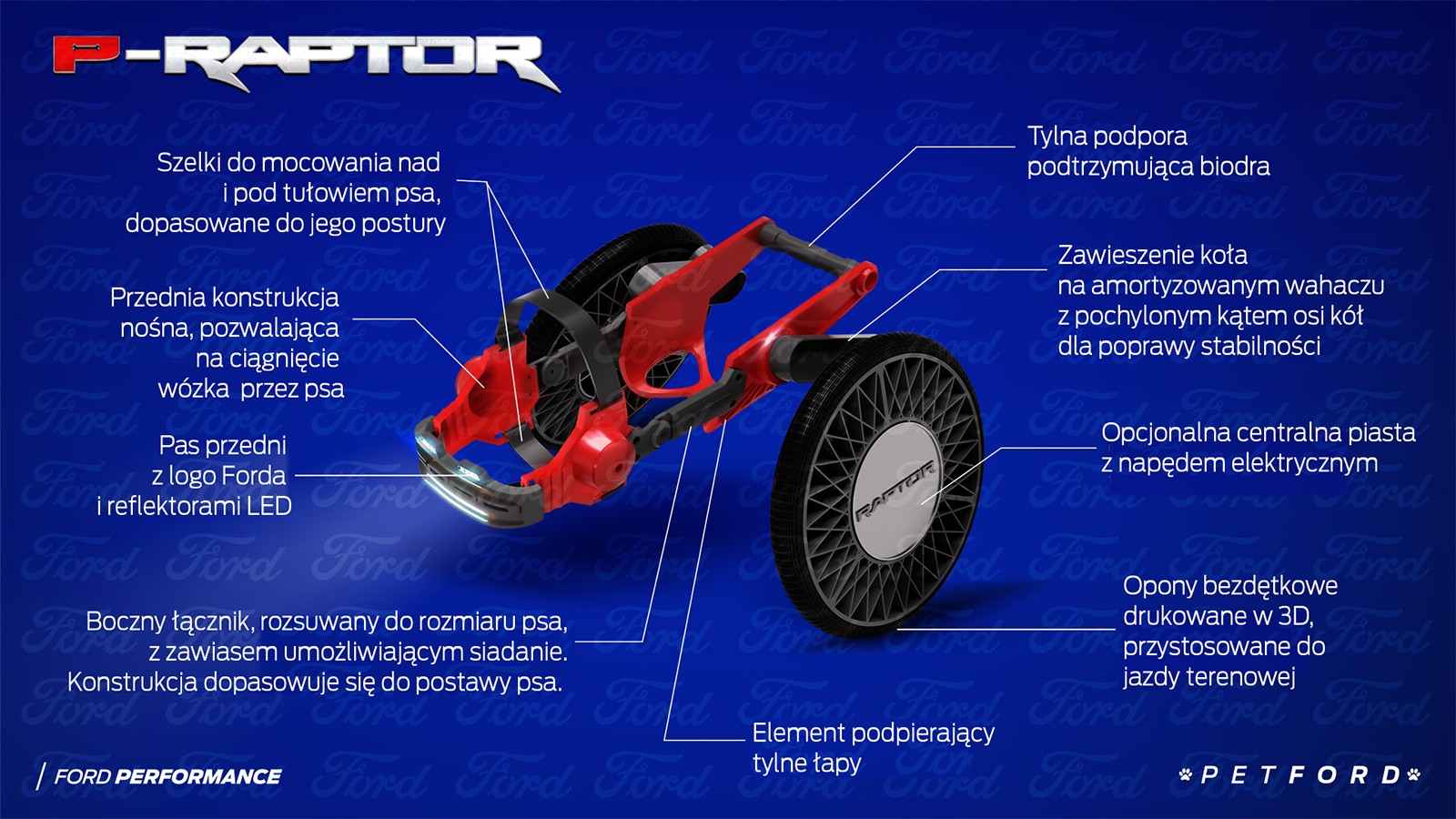 Ford P Raptor pomaga niepełnosprawnym czworonogom | Magazyn T3